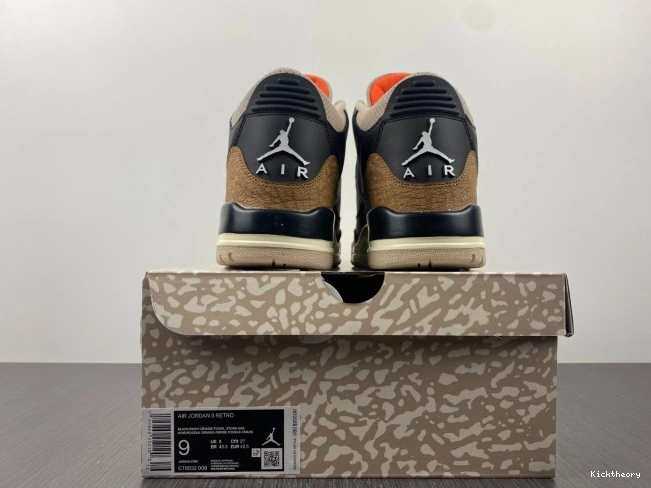 Kicktheory Elephant Desert Air Jordan CT8532-008 3 0706